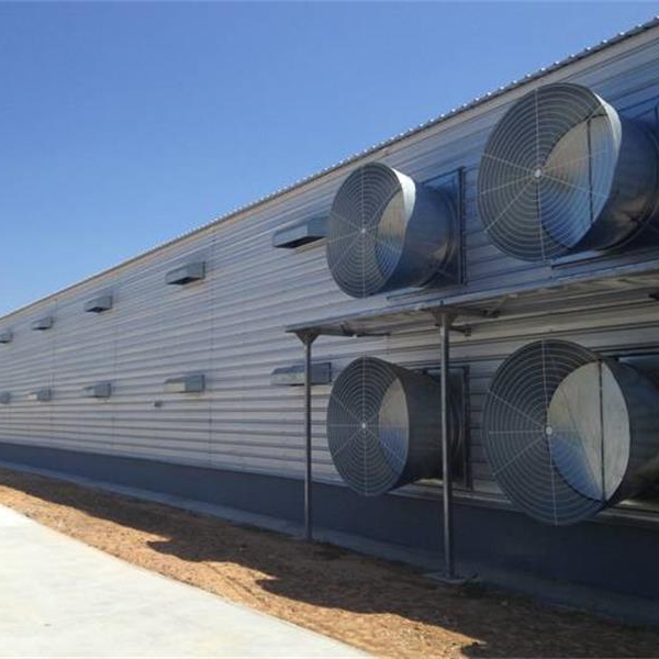 Prefab Metal Barn Poultry House Building Construction Chicken Shed Manufacturer