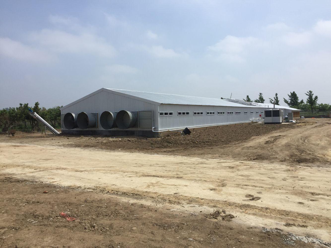 Prefabricated Steel Structure Chicken Broiler House