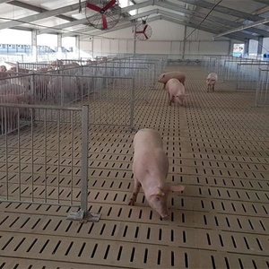 Prefabricated Steel Prefab Pig House Farm Building Piggery