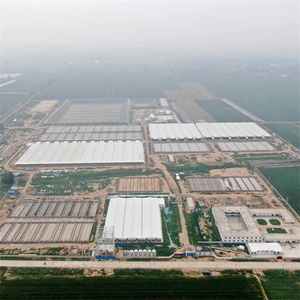 Prefab Steel Pigsty Piggery Swine Pen Pig Farm