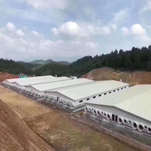 Hot Galvanized Prefabricated Industrial Steel Piggery
