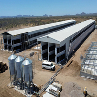//jjrorwxhokmqln5m-static.micyjz.com/cloud/lrBplKinlnSRojknmkijiq/Mexico-all-galvanized-prefab-steel-layer-house-building-with-cages.jpg