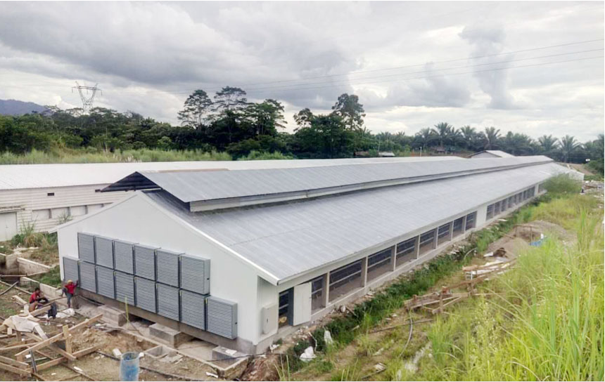 Prefabricated poultry farm Chicken house construction